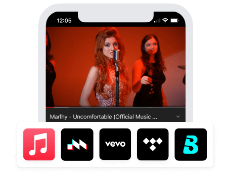 DistroVid Screenshot