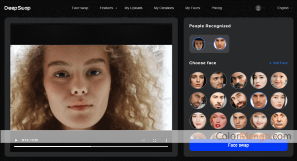 Deepswap Screenshot
