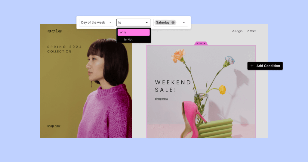 Elementor eCommerce Hosting Discount Coupon Code