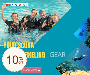 DipN’ Dive Discount Coupon Code