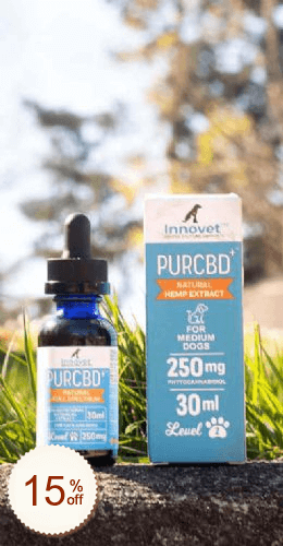Innovet Pet Code coupon de réduction