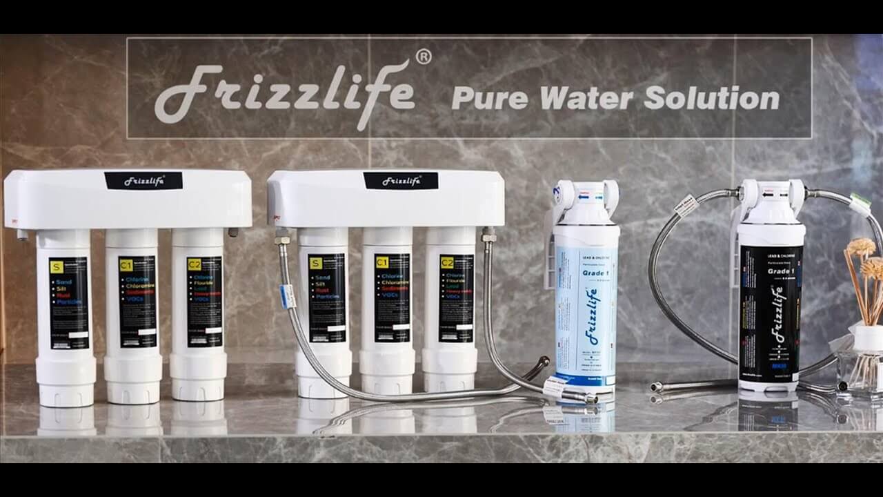 Frizzlife Screenshot