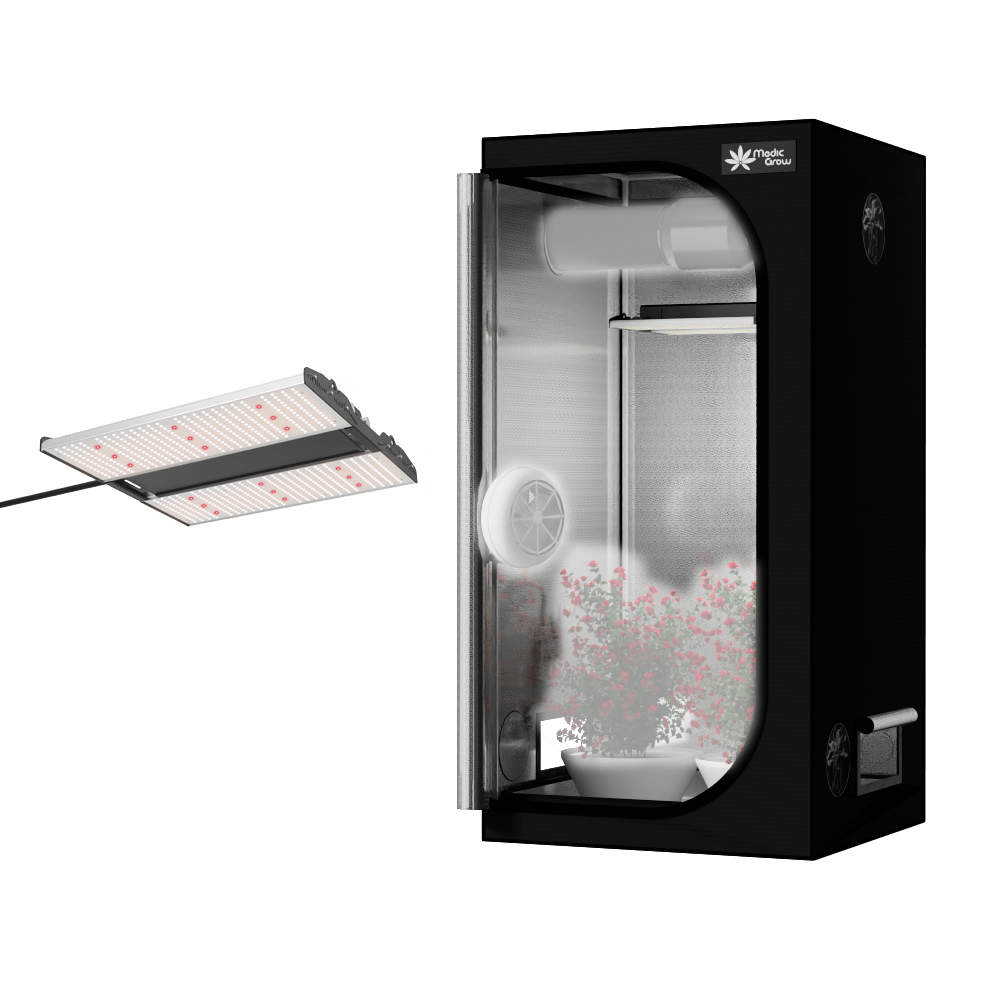 Medic Grow Screenshot