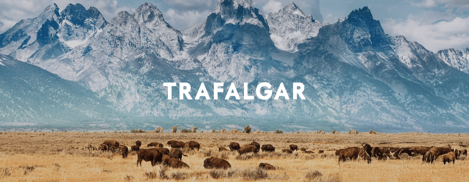 Trafalgar Screenshot