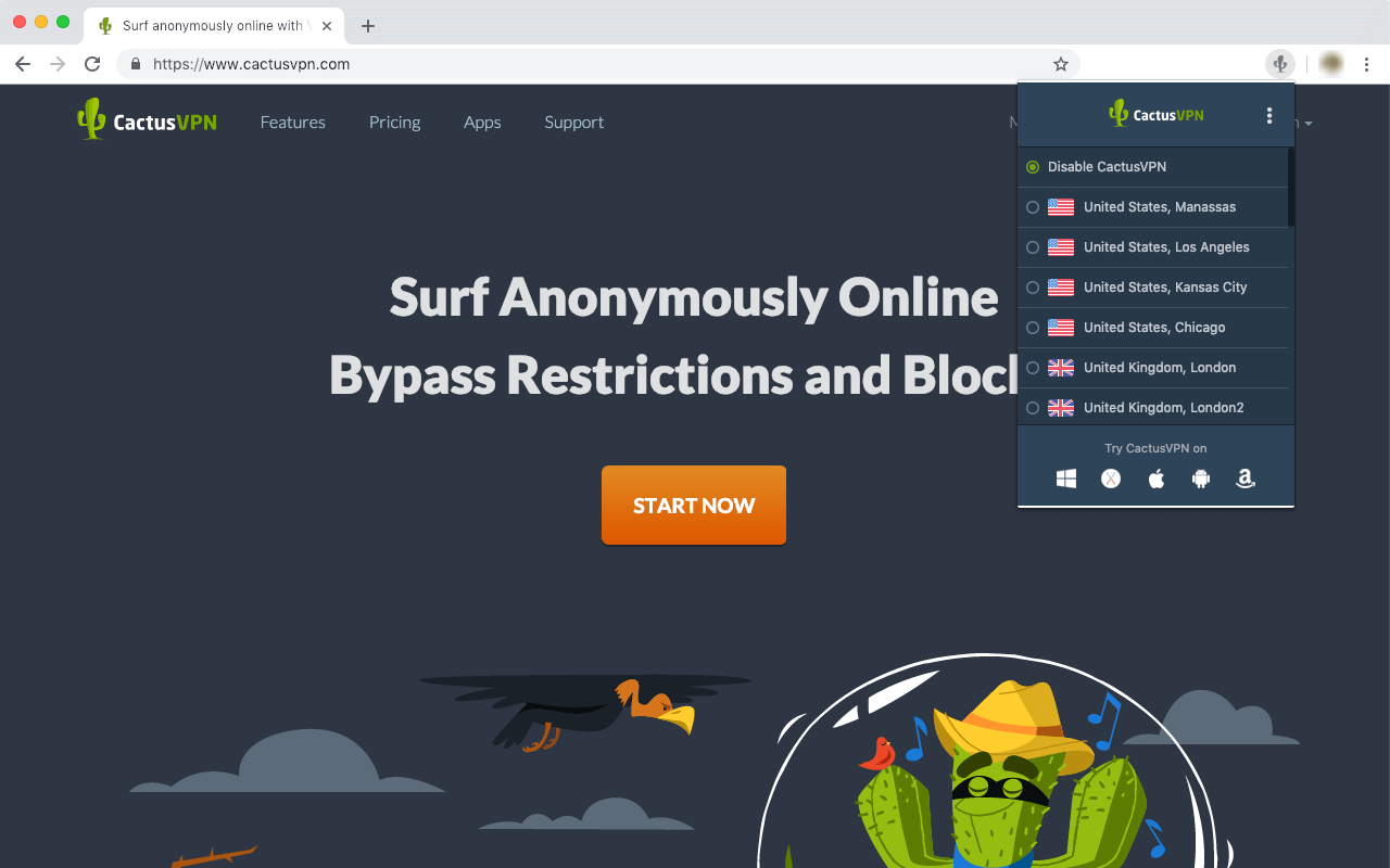 CactusVPN Screenshot