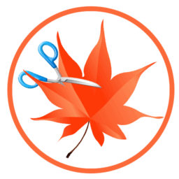 Easy Cut Studio Boxshot