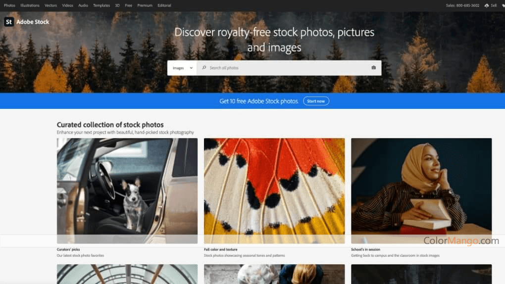 Adobe Stock Discount Coupon Code