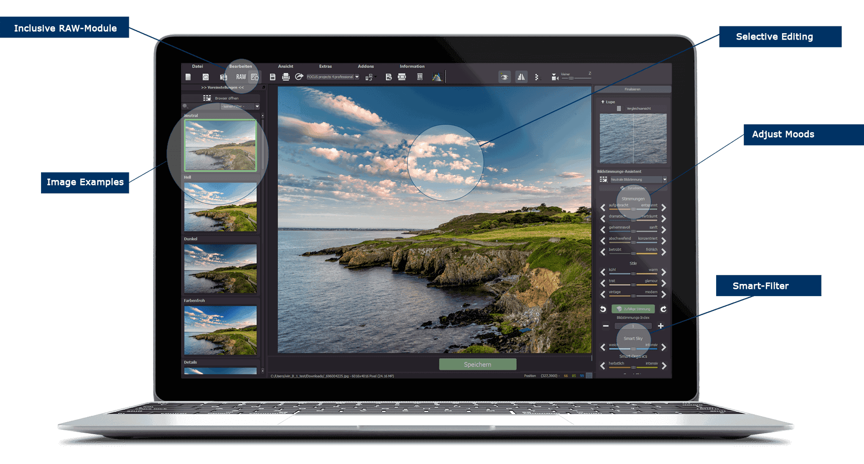 EMOTION Projects Professional Screenshot