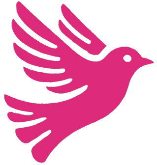 SocialScraper Boxshot