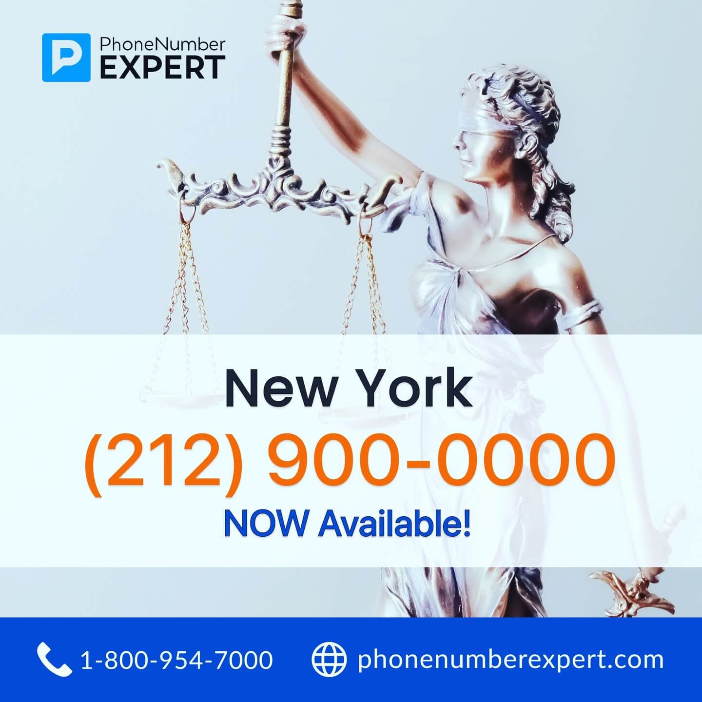 Phone Number Expert Screenshot